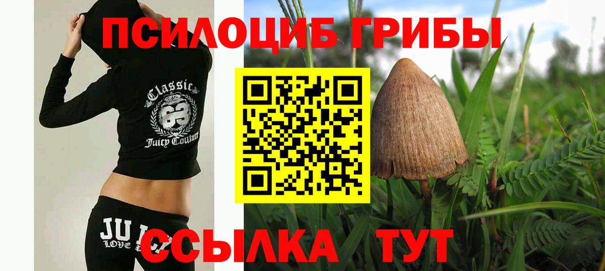 Галлюциногенные грибы Psilocybe  Вход с VPN  Новозыбков 